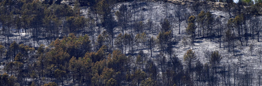 Incendie dans l'Aude&nbsp;: un &quot;acte volontaire&quot; en cause&nbsp;?