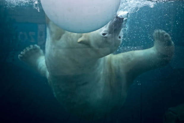 Le parc zoologique et botanique de Mulhouse
