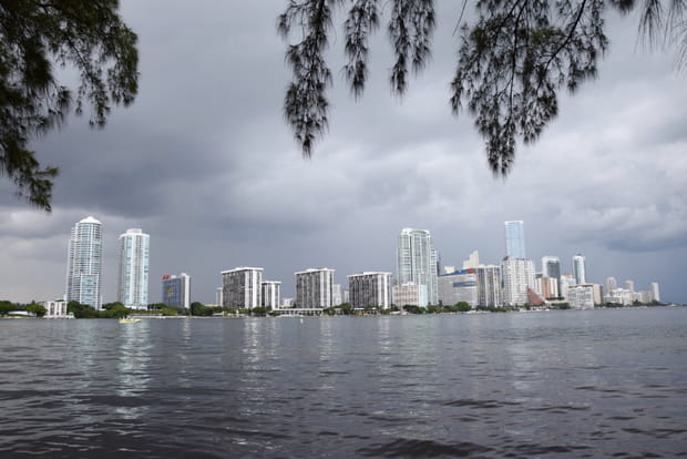 Une skyline harmonieuse