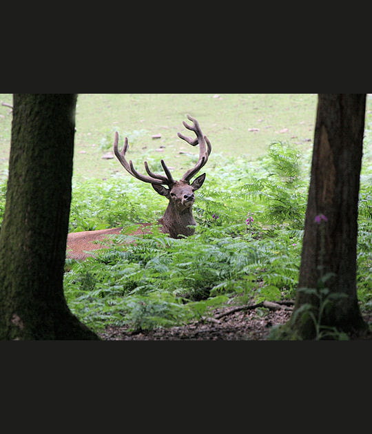 Moments de qui&eacute;tude