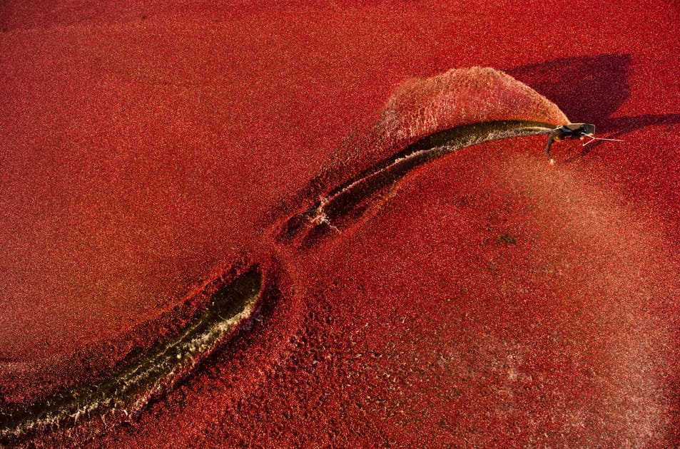 Ben Horan dans les eaux rouges
