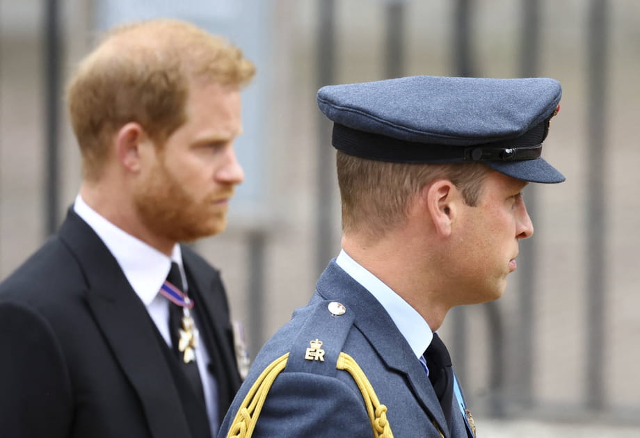 Les princes Harry et William