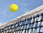 Tennis : Tournoi WTA de Cincinnati