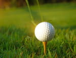 Golf : The Senior Open Championship