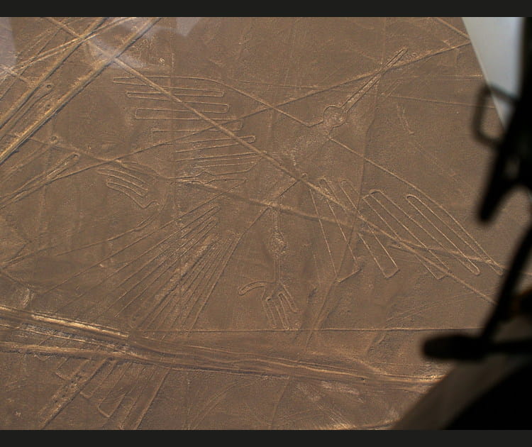 Les signes myst&eacute;rieux de Nazca