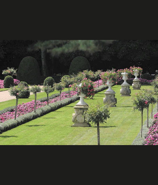 Le jardin de Catherine