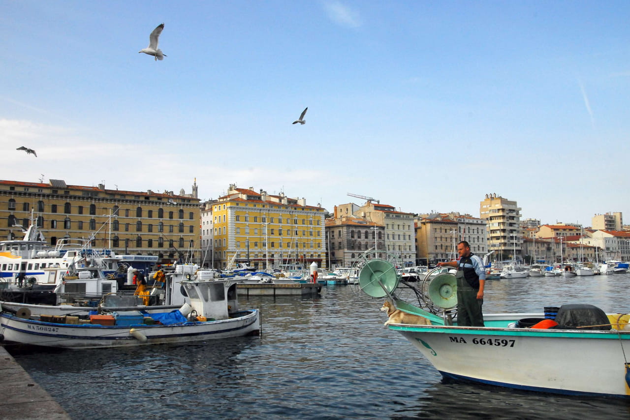 Ce qui vient d'être retrouvé dans le Vieux-Port de Marseille vaut une fortune, un grave problème d'incivilité soulevé