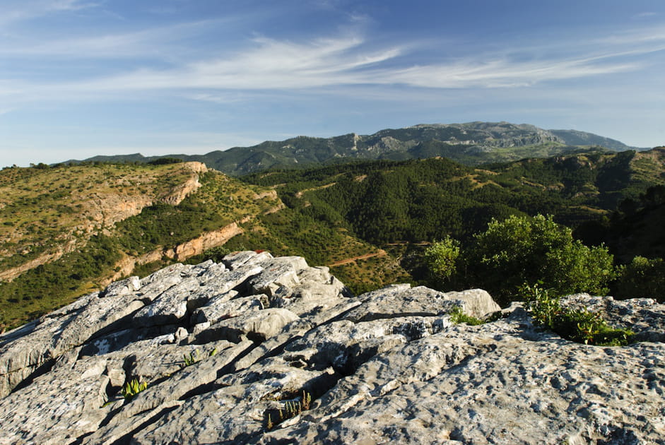 Panorama de la Sierra de Las Nieves