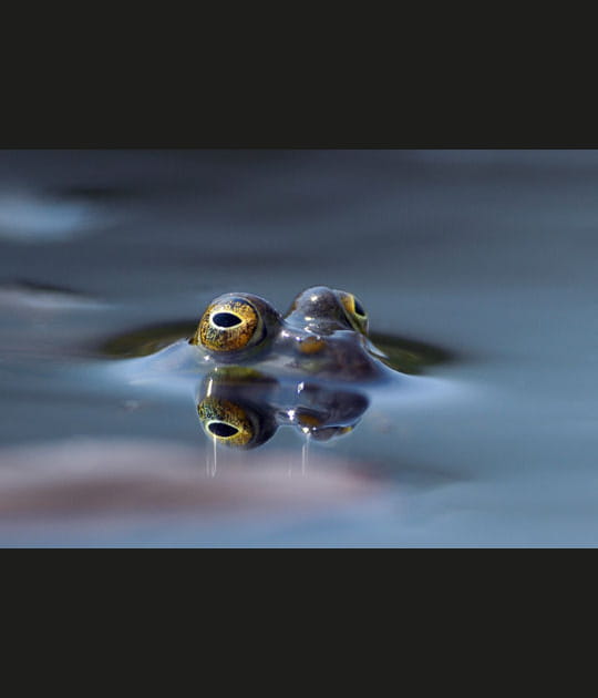 Entre quatre yeux