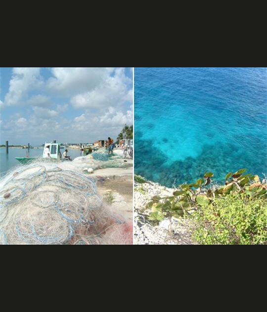 Filets et fonds marins