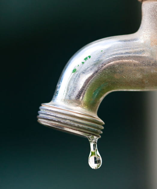 La diff&eacute;rence entre canicule et s&eacute;cheresse