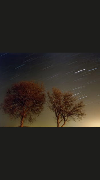 Les nuits des &eacute;toiles