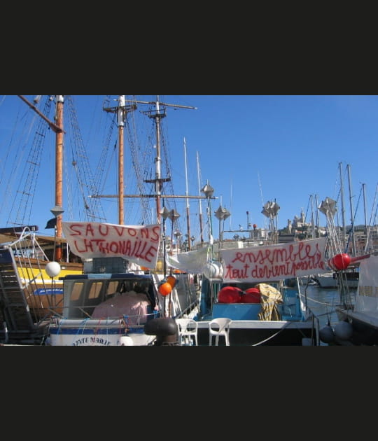 Les quotas des thoniers