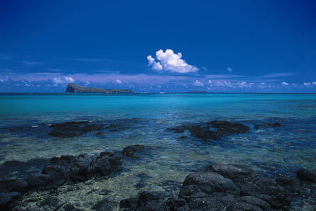 Une grande richesse marine