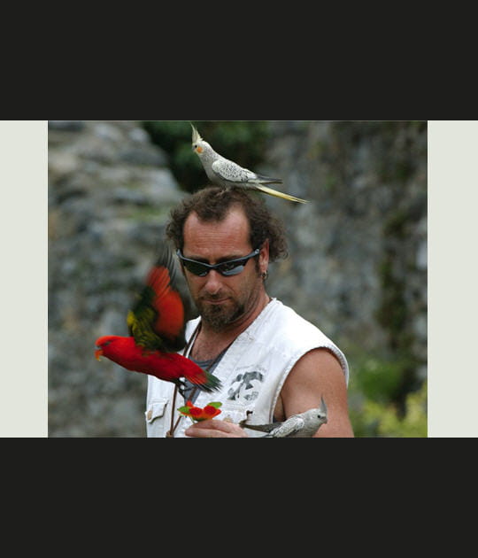 L'homme oiseau