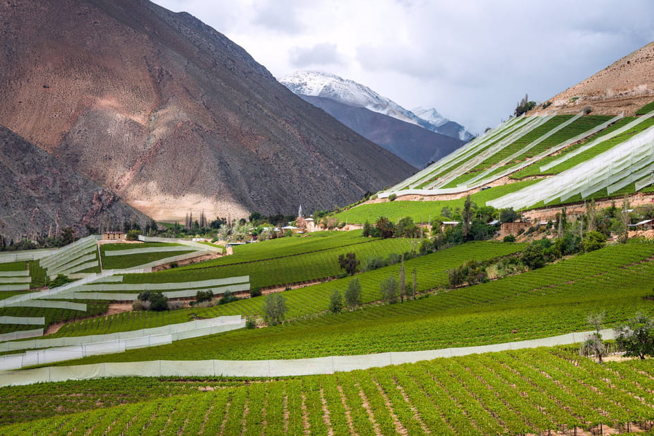 La vall&eacute;e de l'Elqui