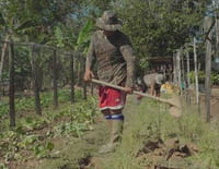 Nous, gens de la terre : Guyane, de la terre jusqu'au ciel