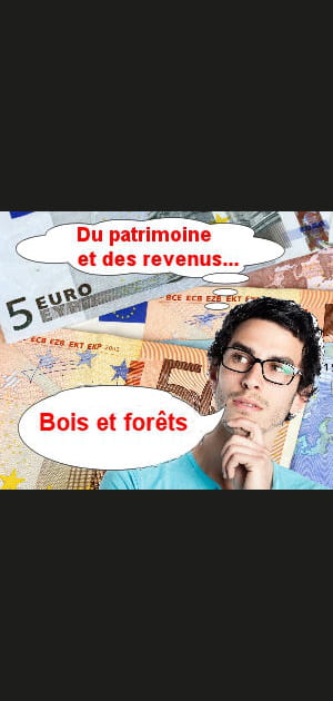 Les bois et for&ecirc;ts, pour diversifier son patrimoine