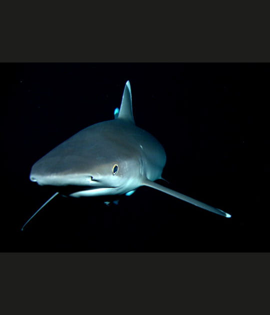 Le Costa Rica mauvais exemple