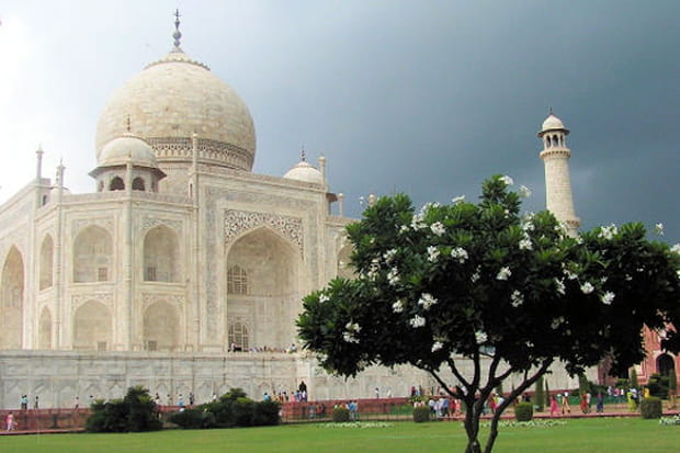 Fraîcheur du jardin