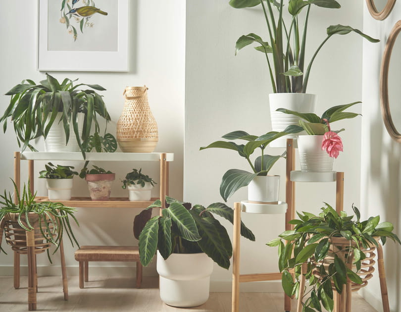 Des supports pour mettre en valeur vos plantes