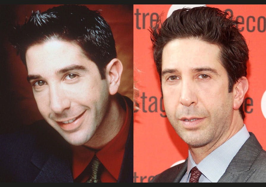 David Schwimmer (48 ans)
