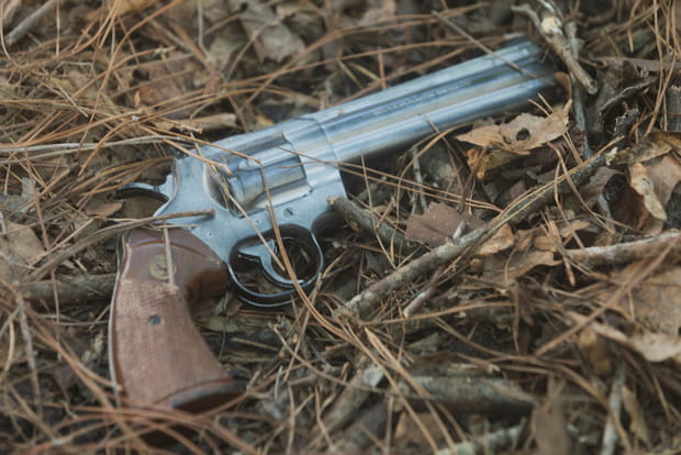 Adieux aux armes