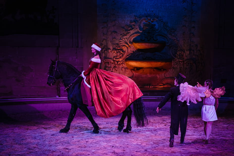 Un spectacle &eacute;questre de No&euml;l au Ch&acirc;teau de Chantilly