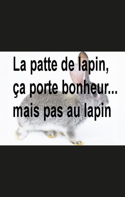 Porte-bonheur