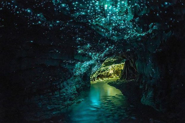 La grotte lumineuse de Waitomo en Nouvelle-Zélande