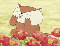 Miru Miru : Mirucoucou