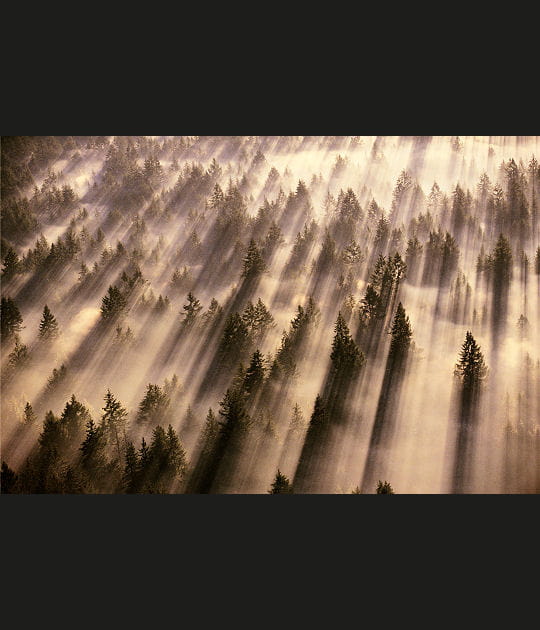 Mont Baker, For&ecirc;t Nationale de Snoqualmie, USA