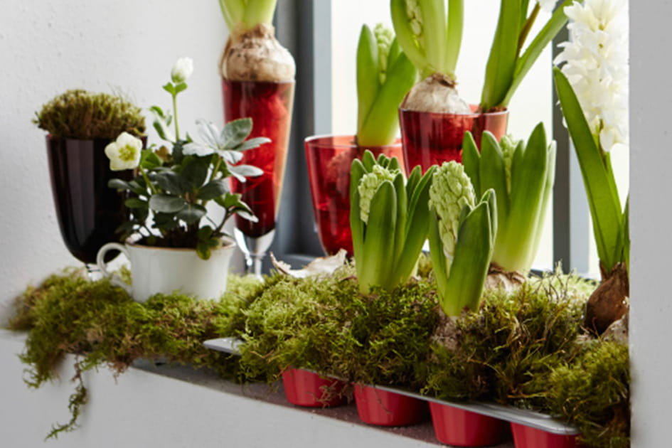 Des pots de fleurs originaux