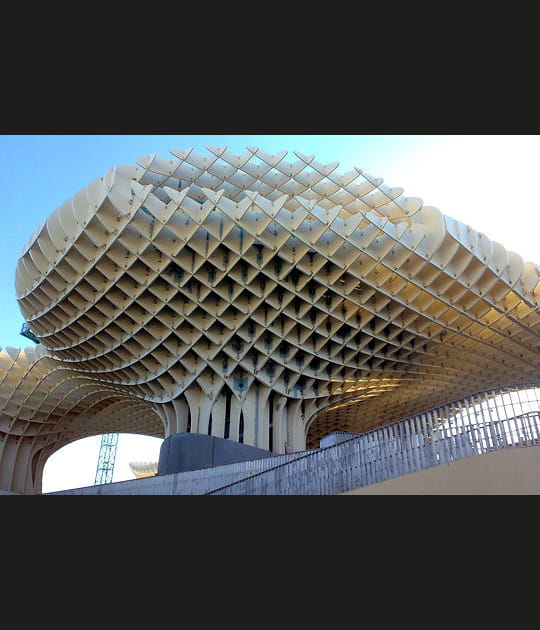 Structure de bois complexe