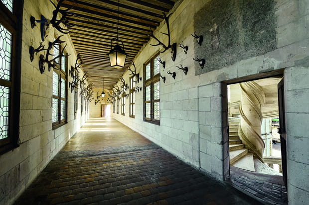 L'ombre de Léonard de Vinci