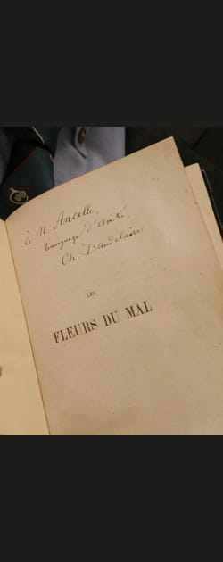 Le scandale des Fleurs du Mal