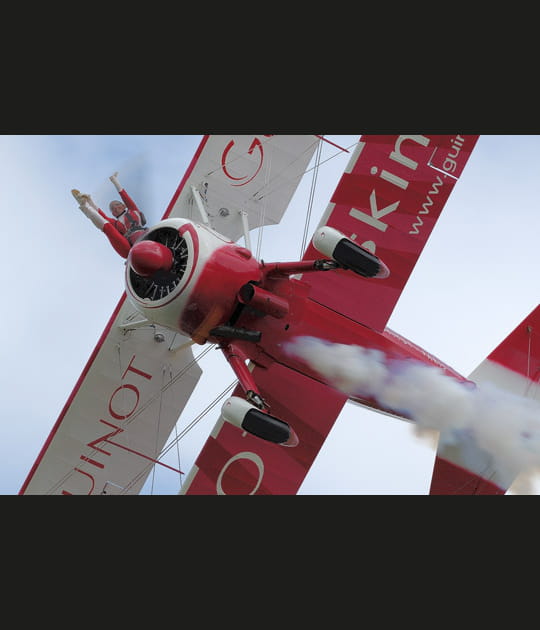 Sur mon aile perch&eacute;e