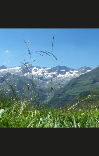 Les Pyr&eacute;n&eacute;es &agrave; l'honneur