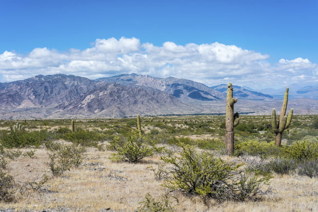 Sur les traces de Che Guevara en Amérique Latine