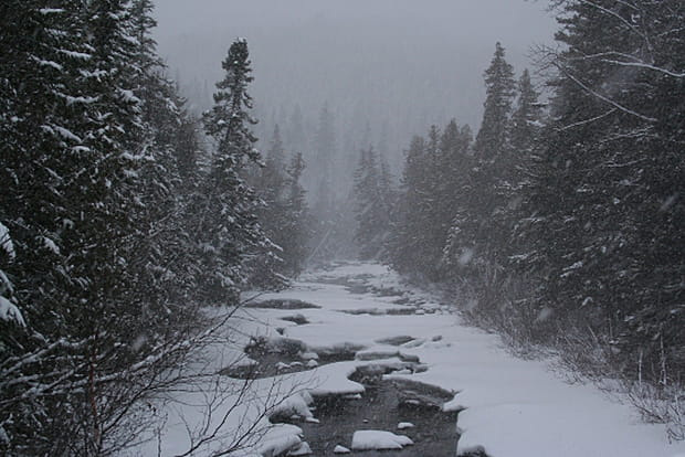 En pleine tempête de neige