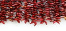epices villes piments espelette pays 925853