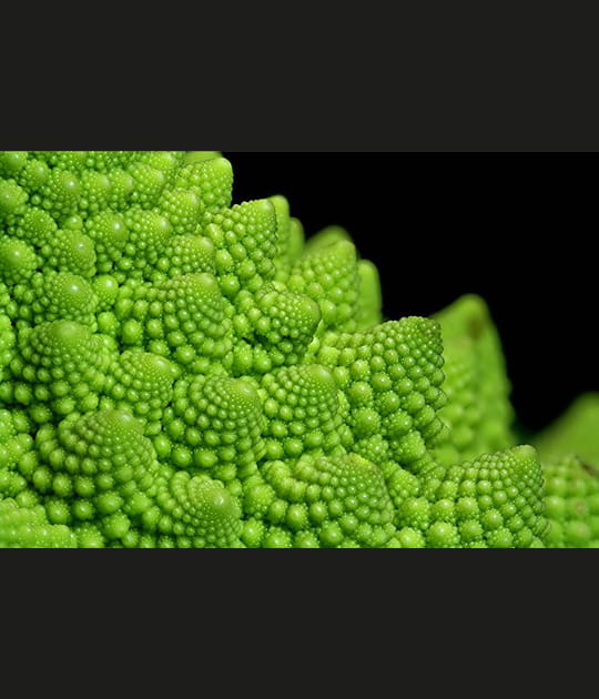 Romanesco