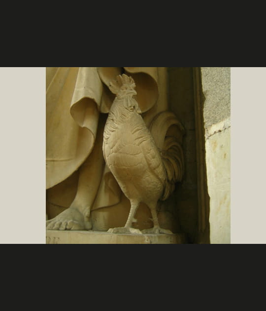 Le coq de Saint-Pierre
