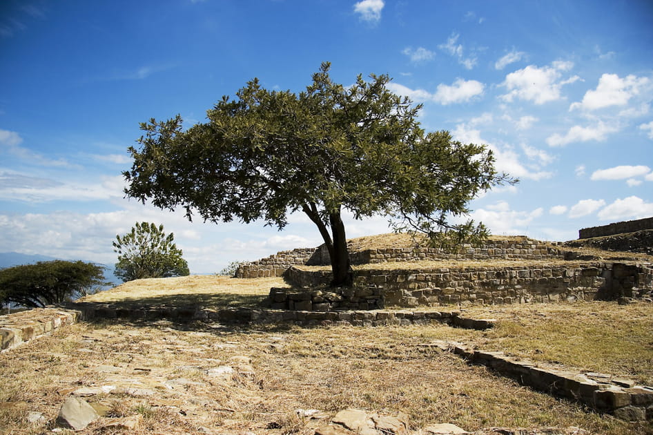 Vestiges zapot&egrave;ques