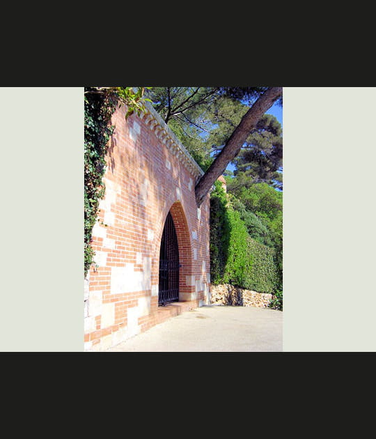L'arbre qui fait le mur