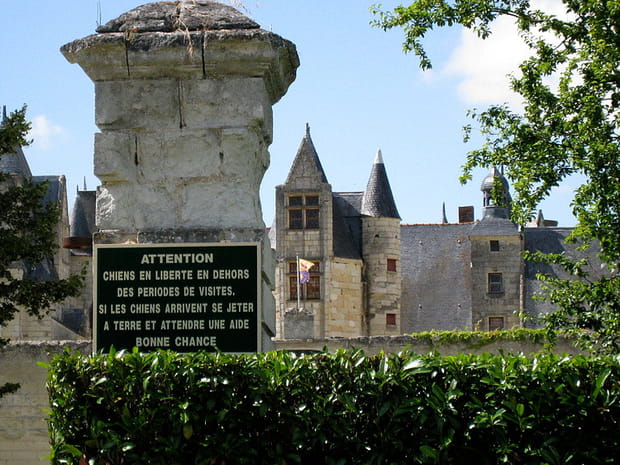 Le château de Boumois