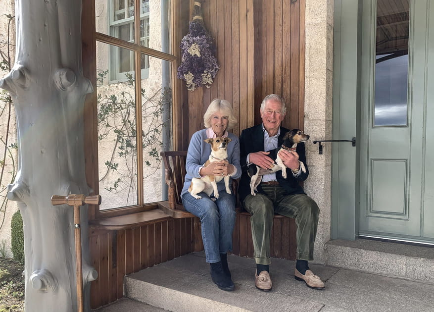 Avec ses chiens