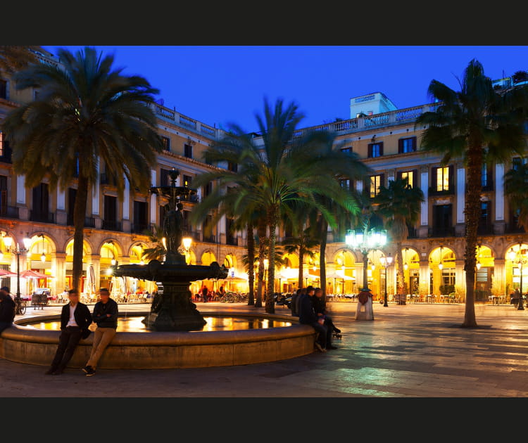 La Pla&ccedil;a Reial