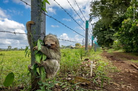 Les images spectaculaires du Wildlife Photographer of the Year