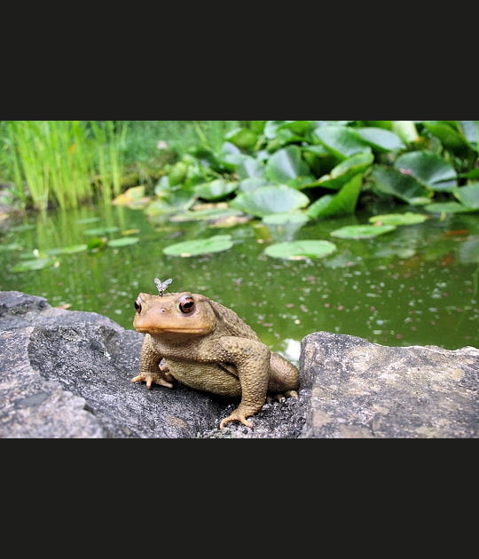 Pourquoi tu t'marres&nbsp;?